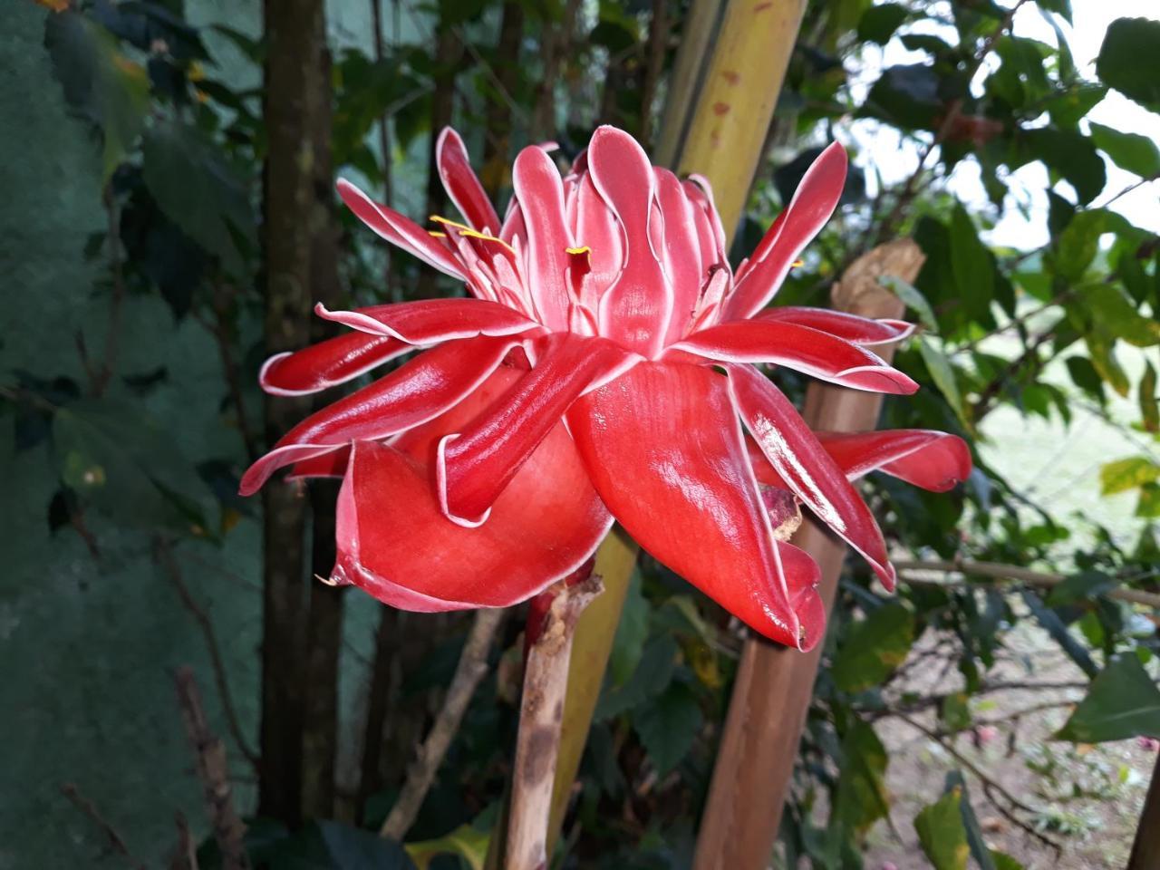 Pousada Ubatuba Itagua Exteriör bild